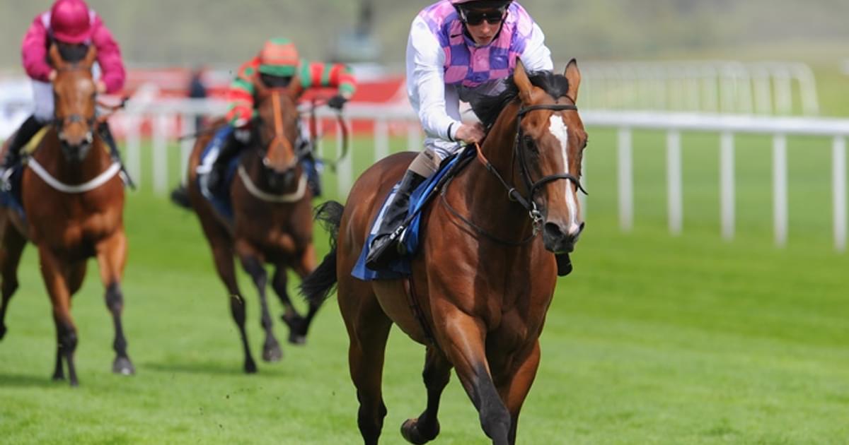 Curragh Rocks Sir Maximilian Ready To Rock At The Curragh