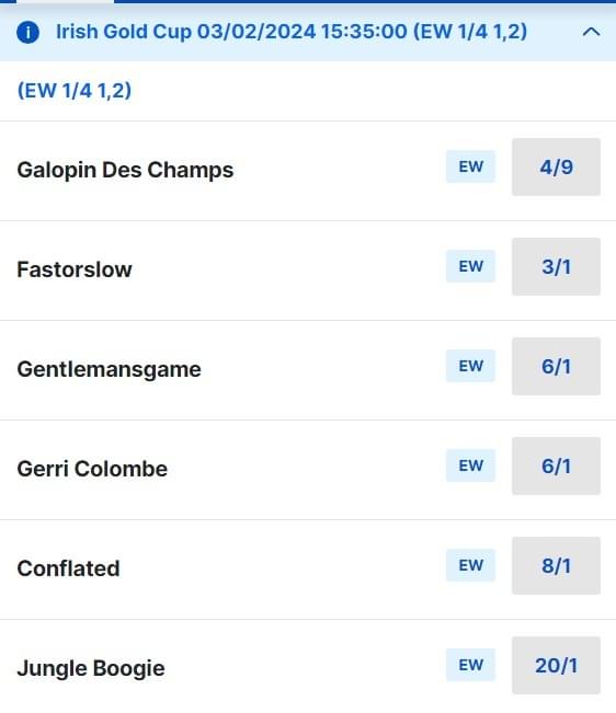 Irish Gold Cup Odds