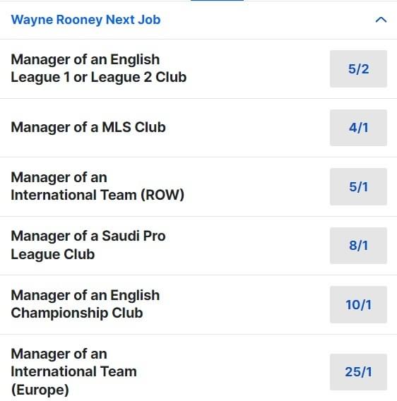 Wayne Rooney Next Job Odds
