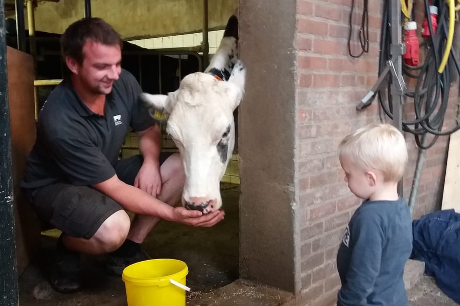 Koe In De Kost Boerenzoon Lenn