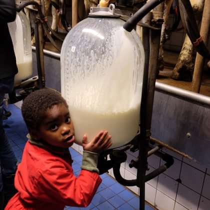 Koe in de Kost - Verse melk