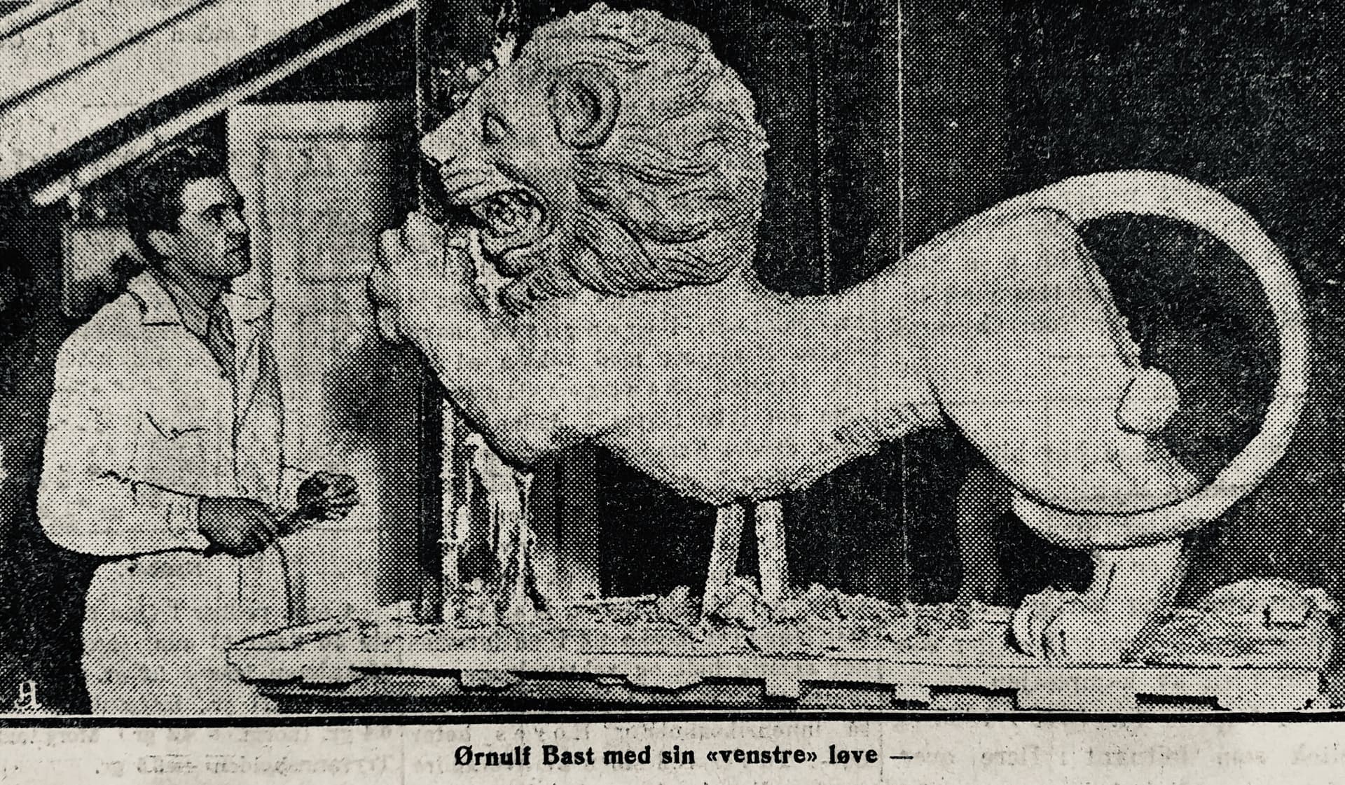 1931 Løve