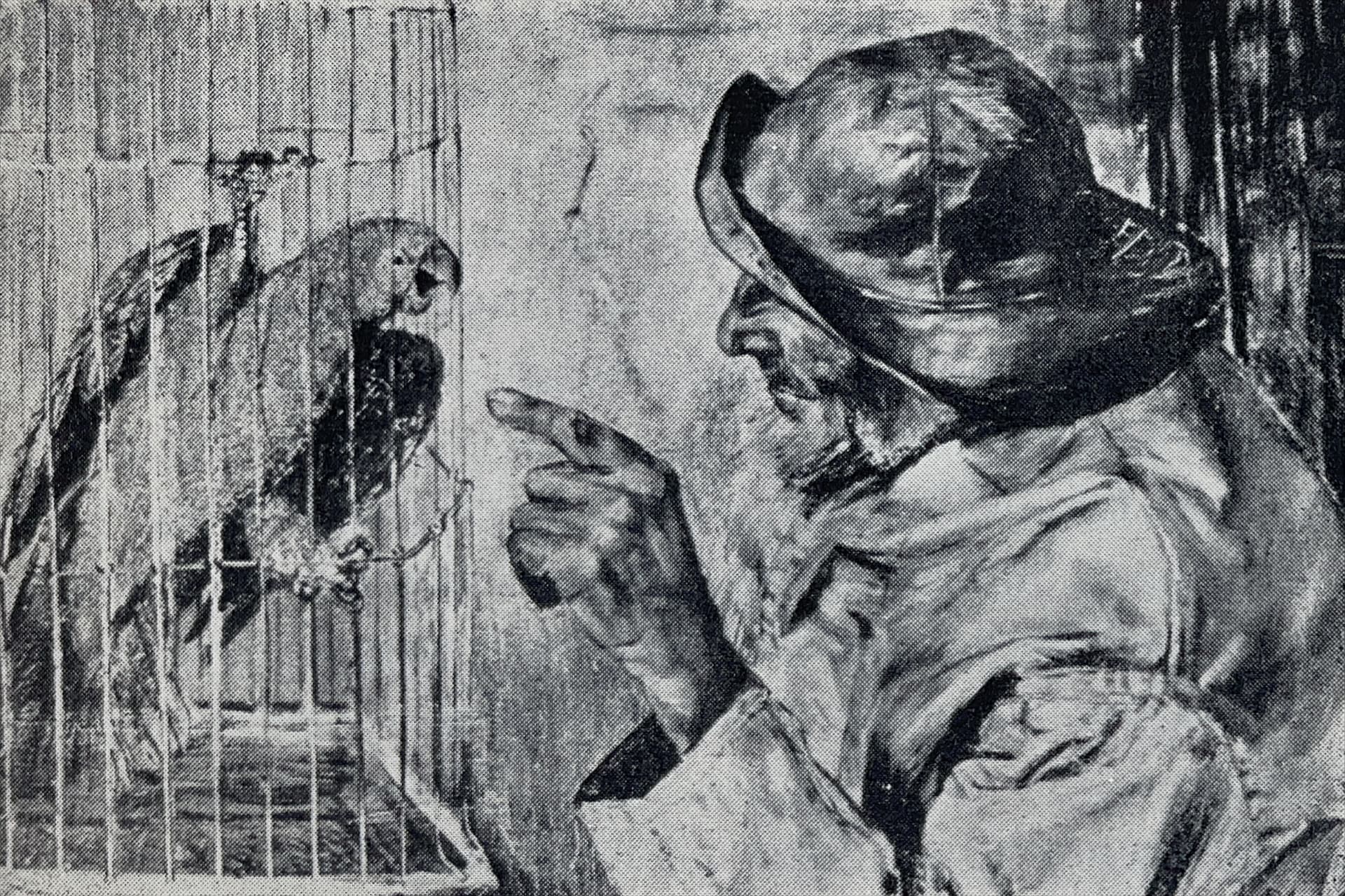 1952 Christian Krohg Maleri 14