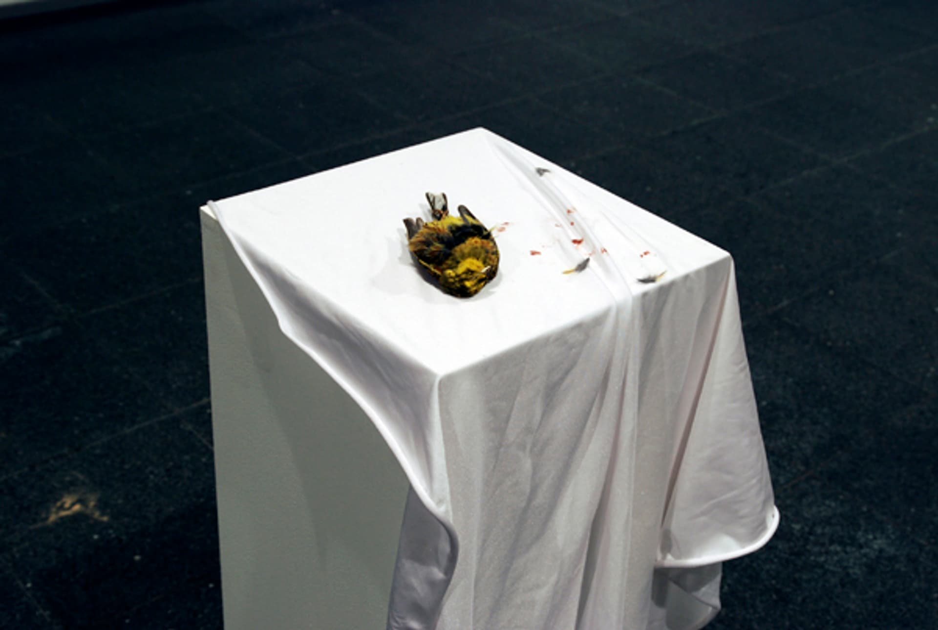 2007 Kurt Johannessen Andremøte8
