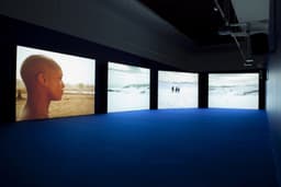 2011 Isaac Julien Meyrick