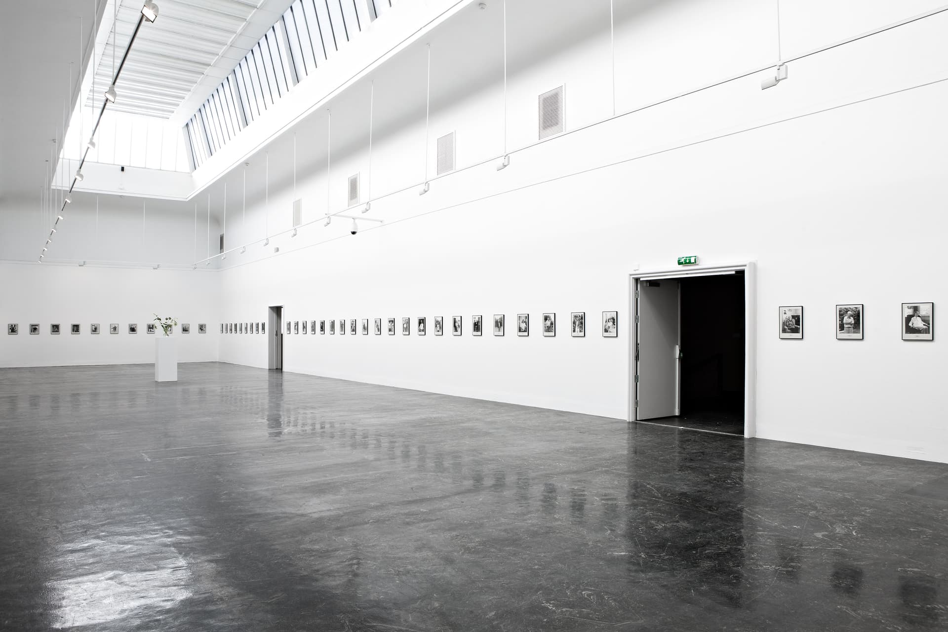 2012 Feldmann Kleven C9T9798