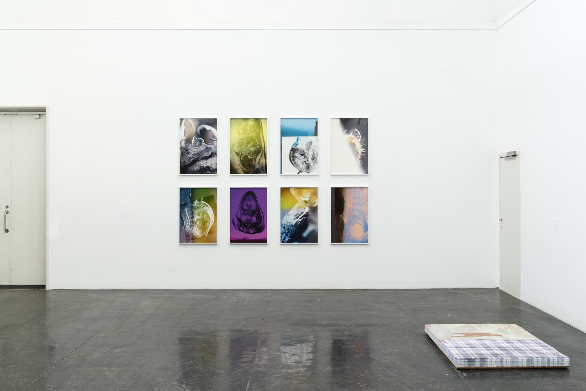 2017 Subjektiv Josephinepryde Album 5282