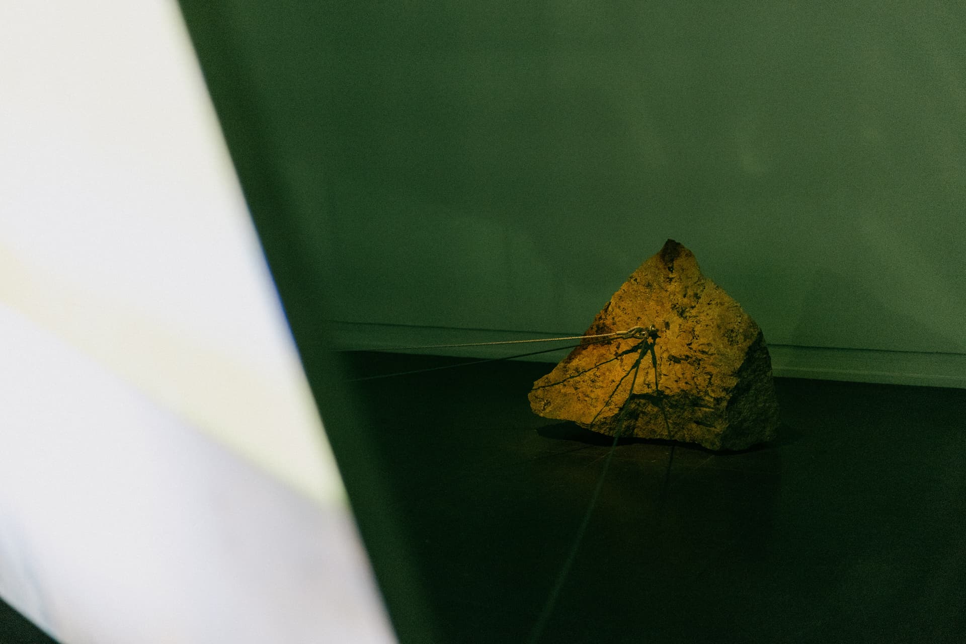 2024 Apning Eli Mai Huang Nesse Dag Erik Elgin Foto Jan Khur Abrakadabra 50