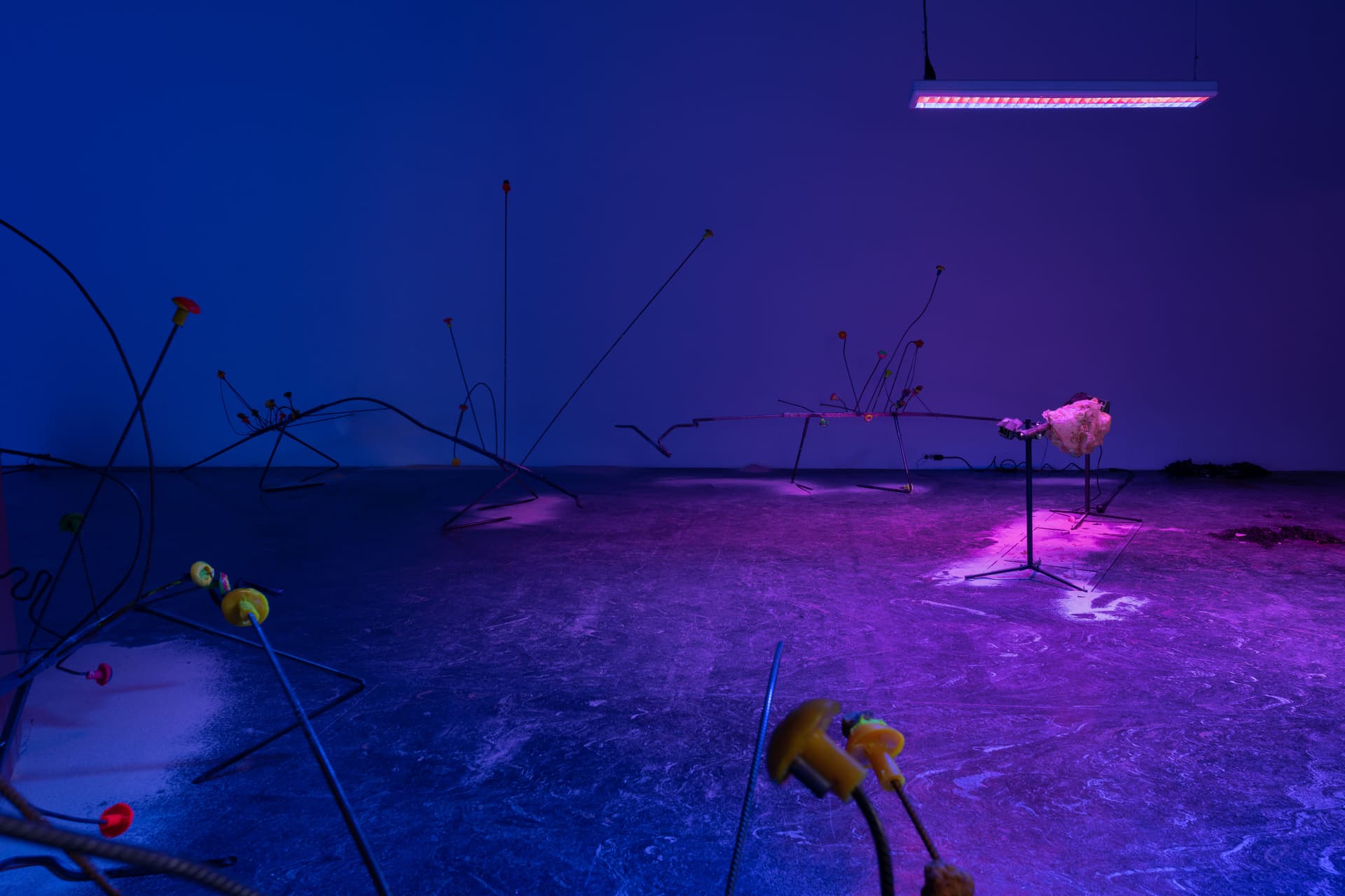 Annalise KHIO Kunstakademiet Avgang 2022 Web Res 42