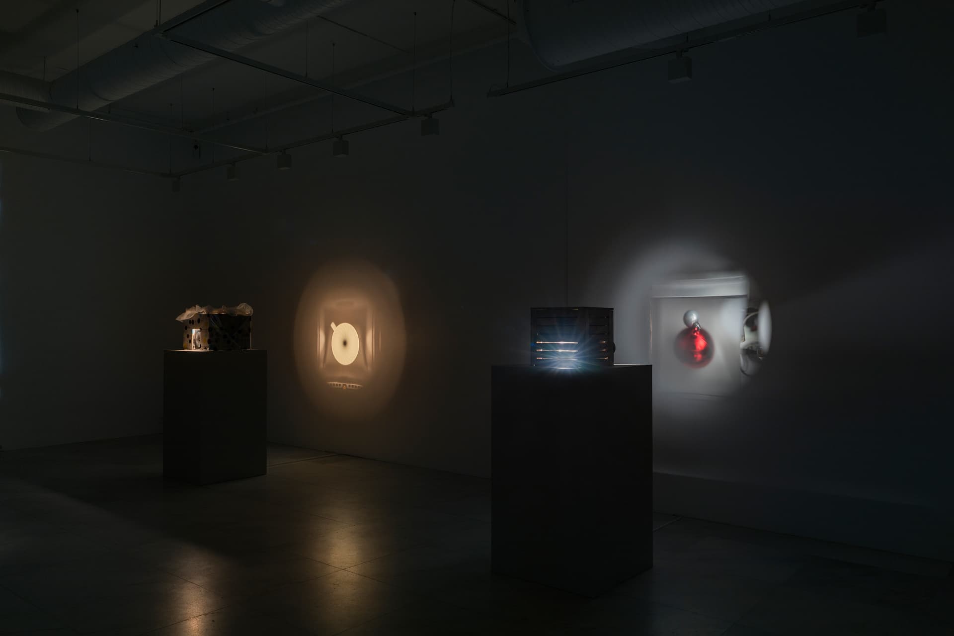 Doris Guo DSC7791 Web