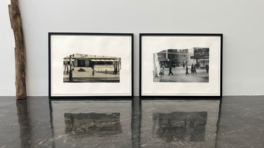 Edisjoner Jannik Abel