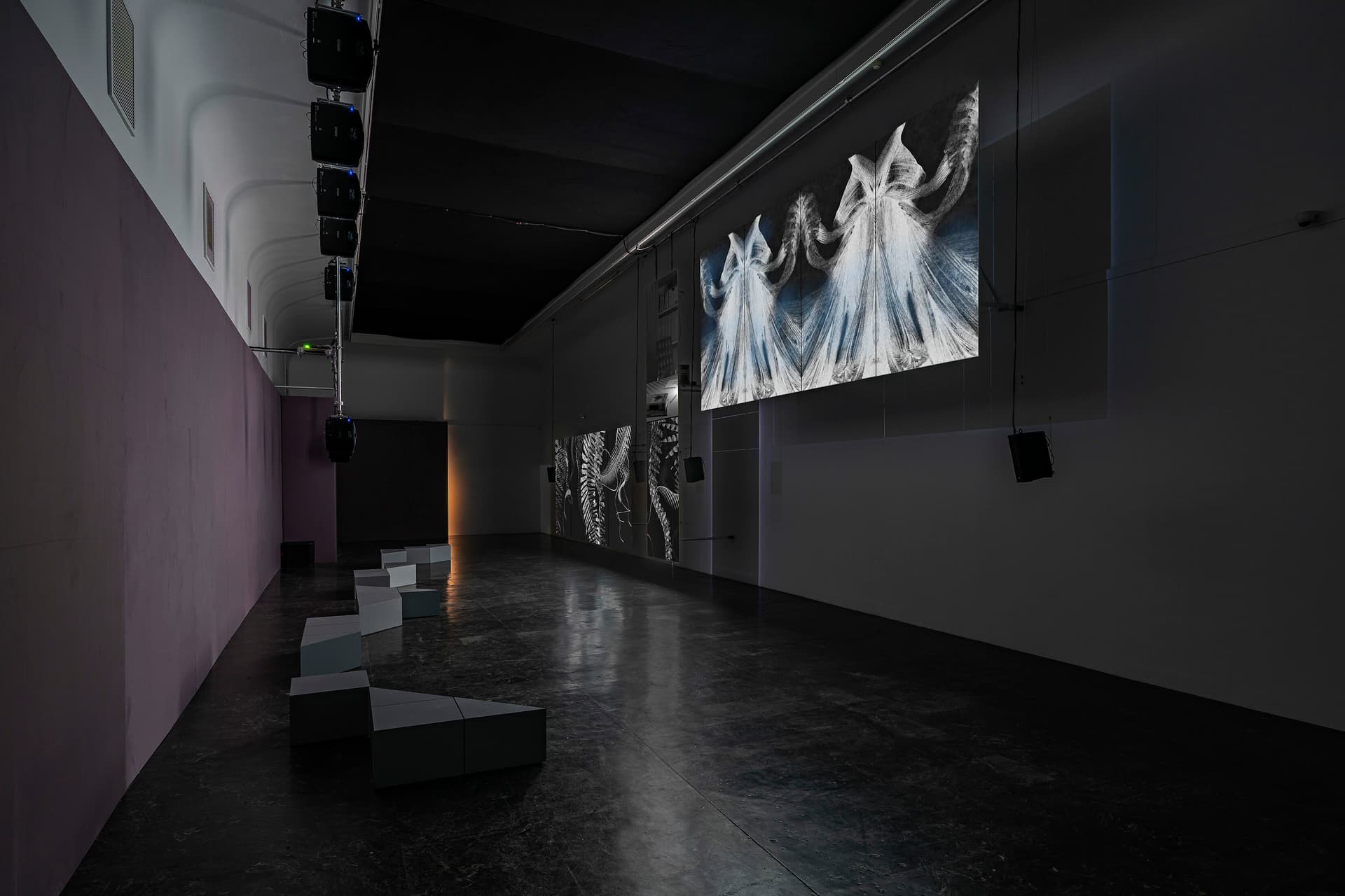 Elizabeth Price SLOW DANS DSF8421