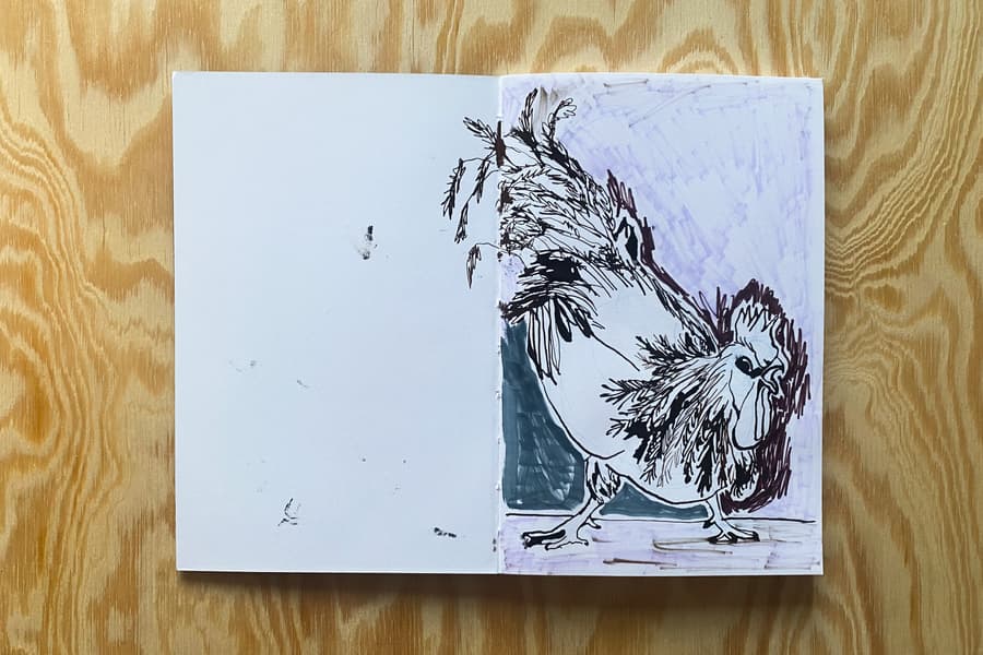 Ghazaal Nasiri Anne Marthe Før