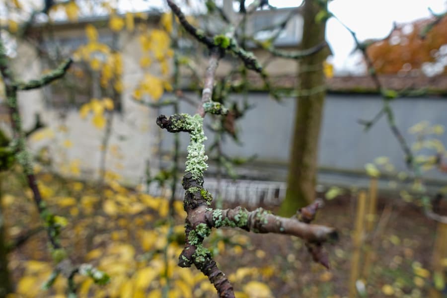 Hovedbilde Ekely Studio Foto Amber Ablett