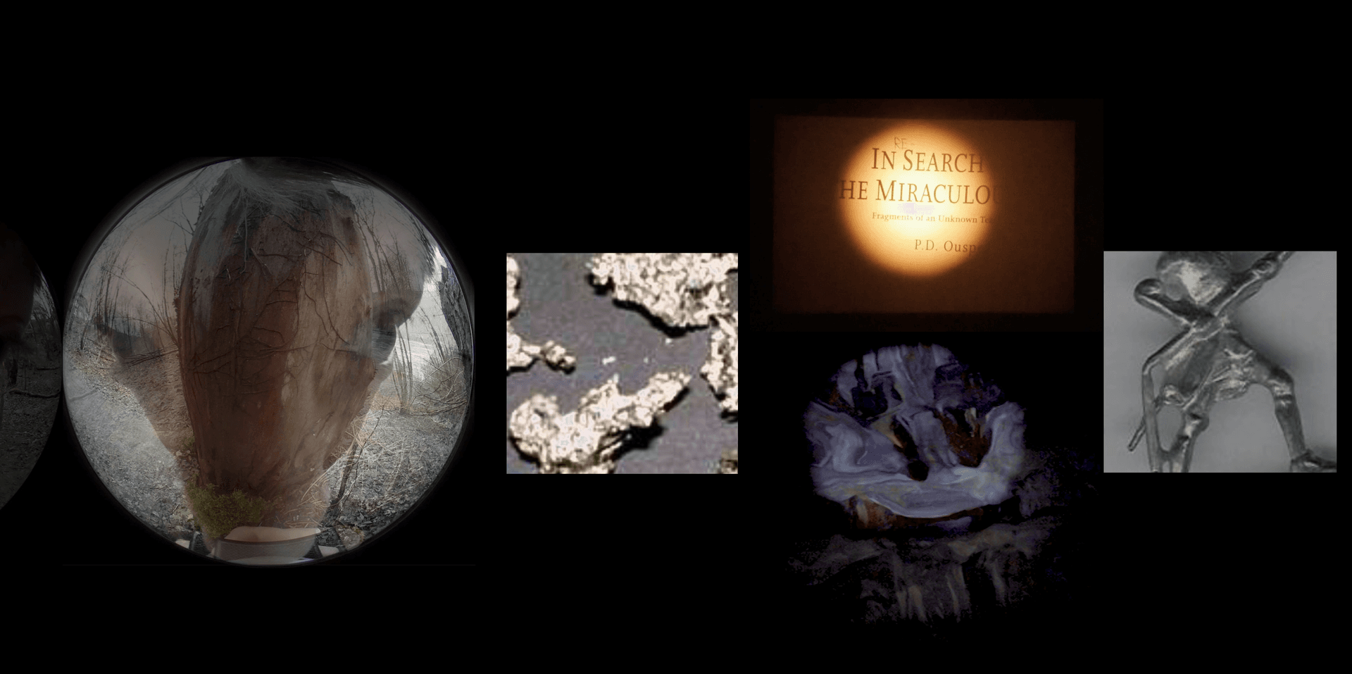 In research of the miraculous liggende