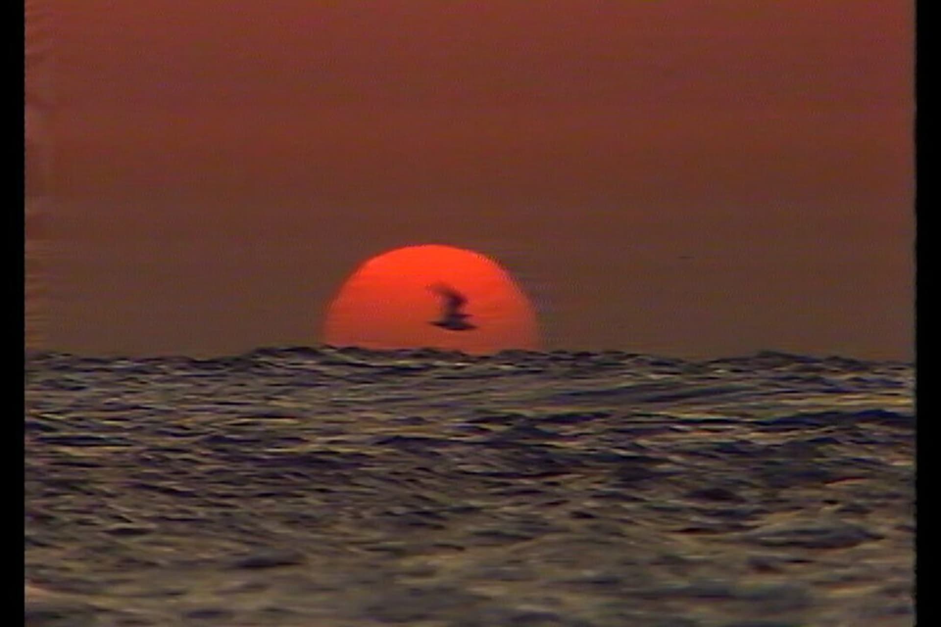 Israel Palestine 528 89 Story se001