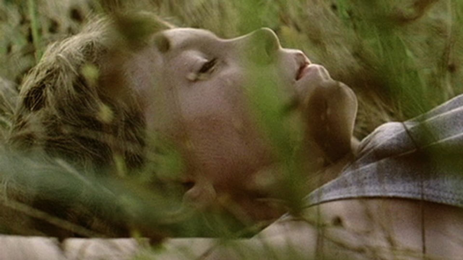 Low Tide11 1600x900 c default