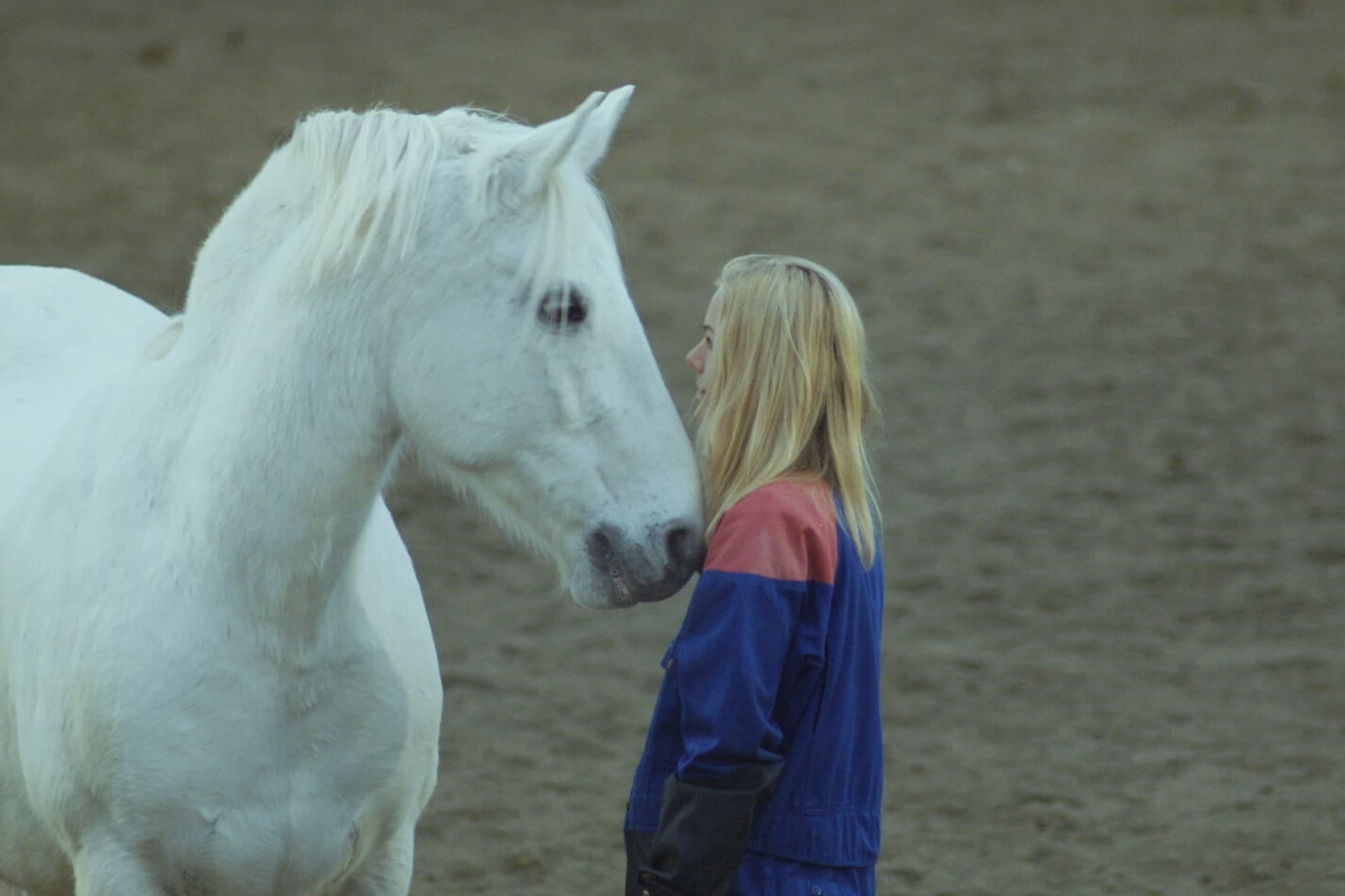 PROMOBILDE Pil og bue