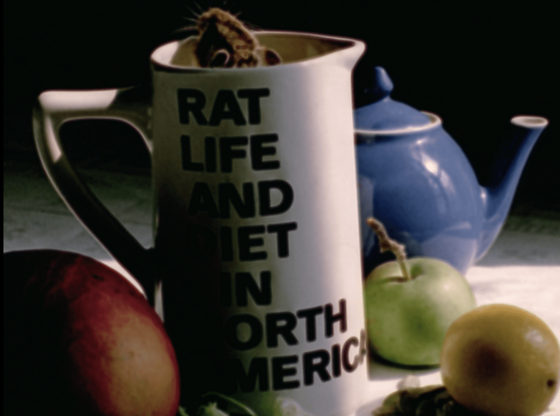 Rat Life and Diet 1