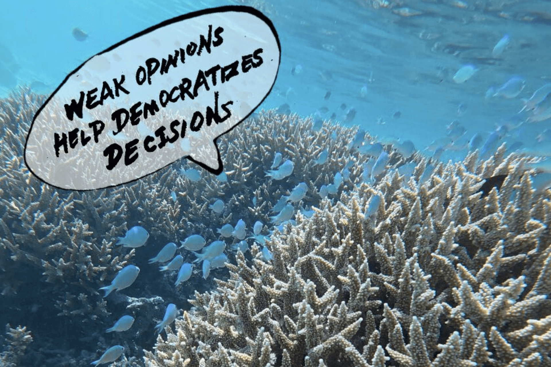 Skjermbilde 2026 01 20 kl 13 41 31