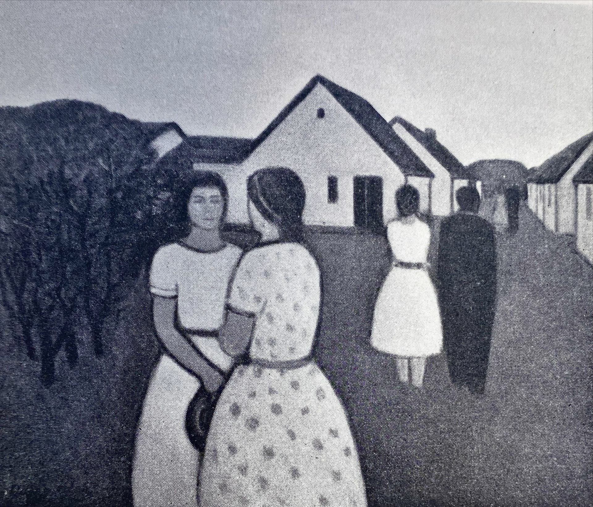 Alf løvbegr brosjyre bilde nr 3