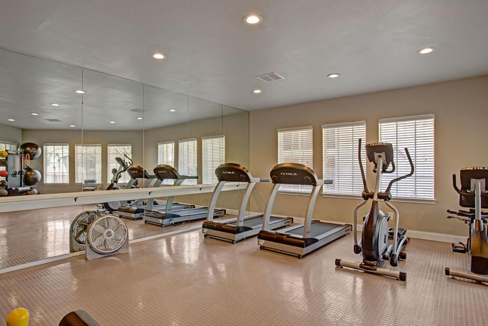 The Arbors at Wolf Pen Creek apartments A modern gym with treadmills, an exercise bike, mirrors, and large windows.