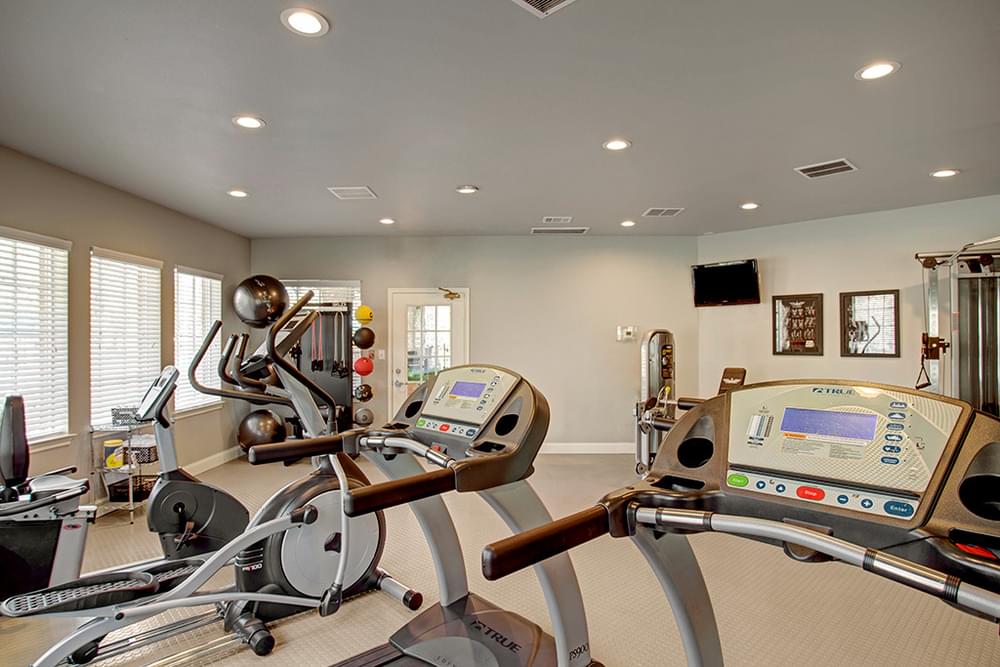 The Arbors at Wolf Pen Creek apartments A modern gym with treadmills, exercise bikes, and a rack of medicine balls in a well-lit room.
