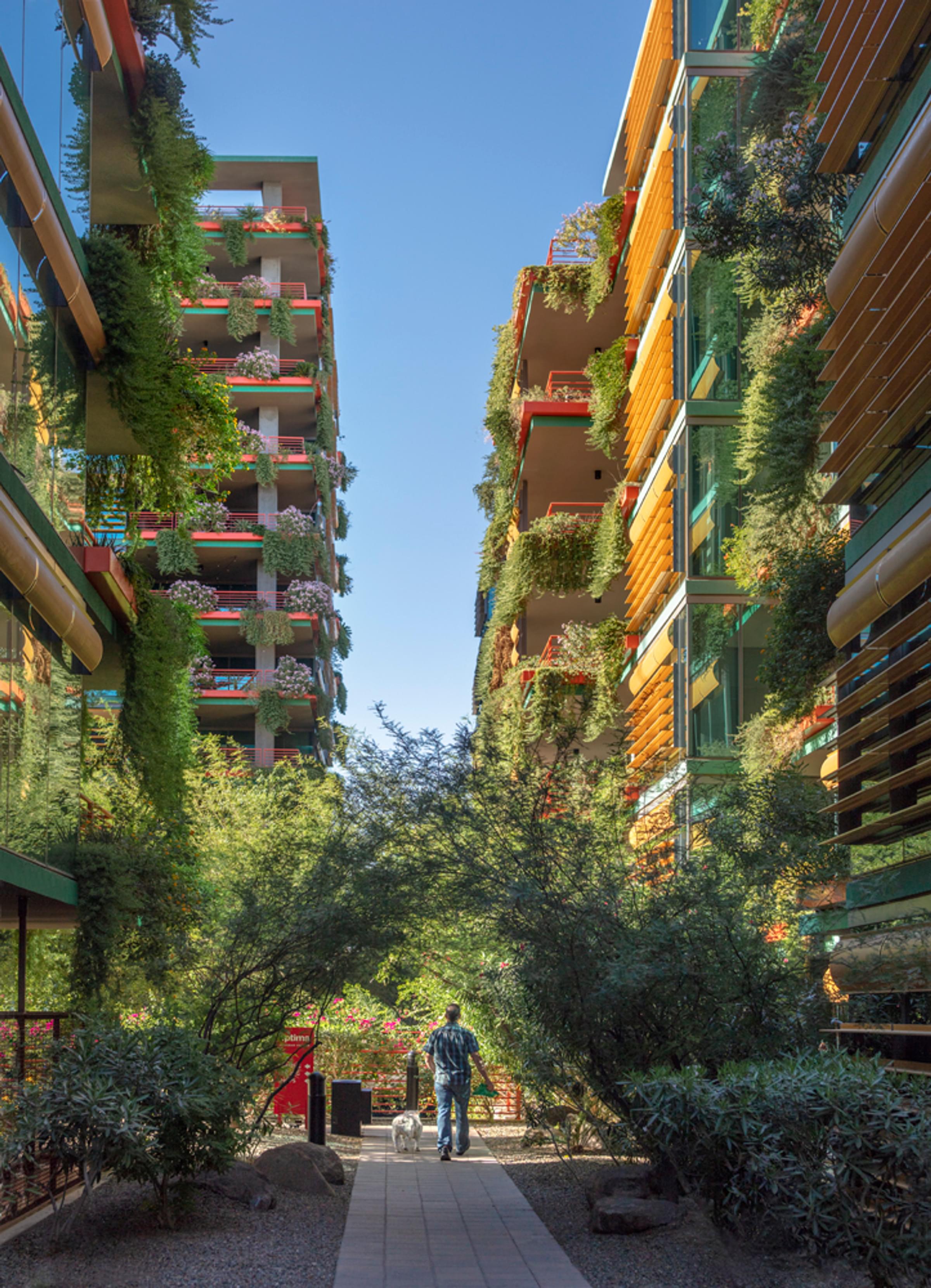 Optima Sonoran Village modern building with large glass facade framed by trees and patios, featuring outdoor seating areas below.