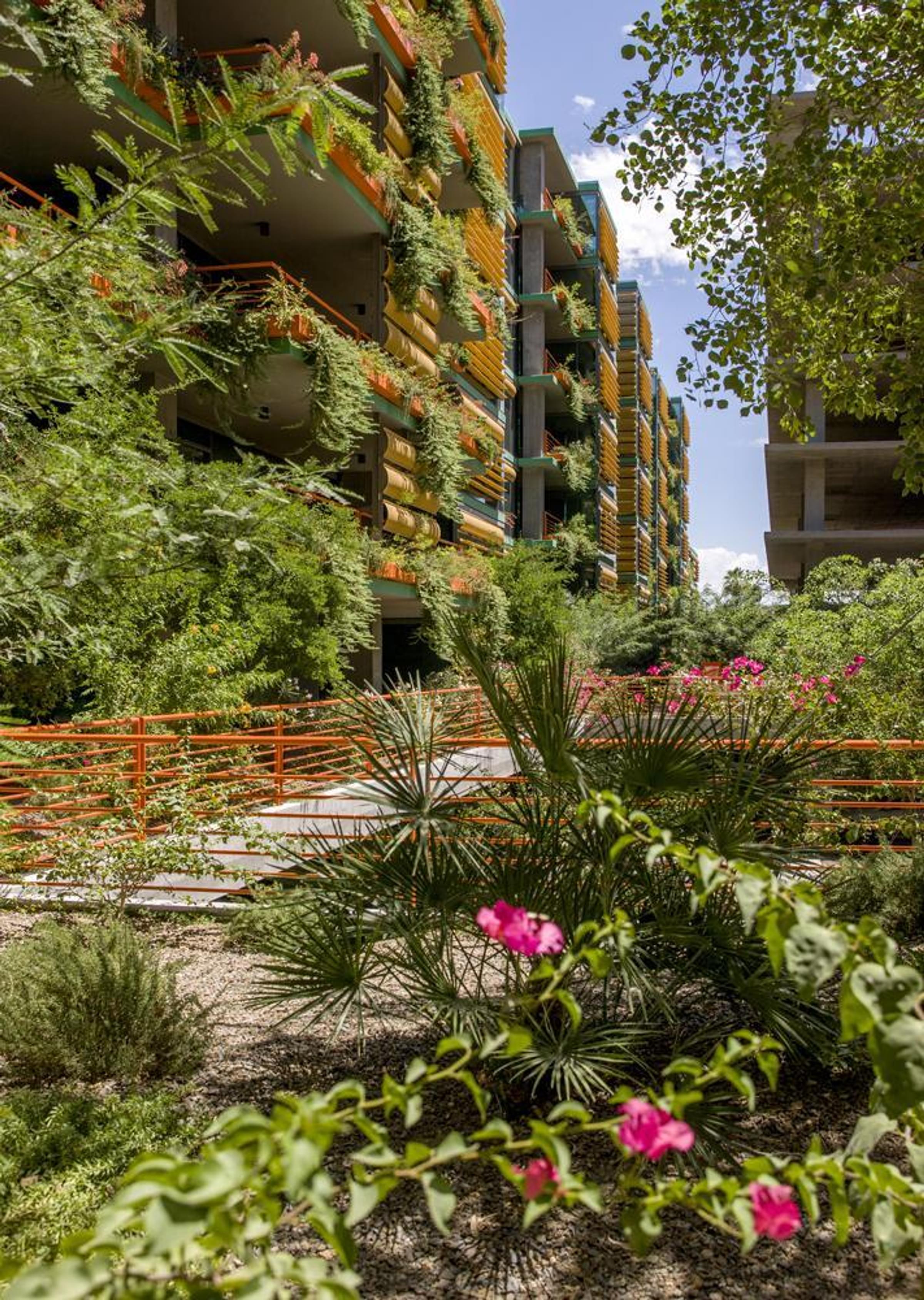 Optima Sonoran Village modern building with large glass facade framed by trees and patios, featuring outdoor seating areas below.