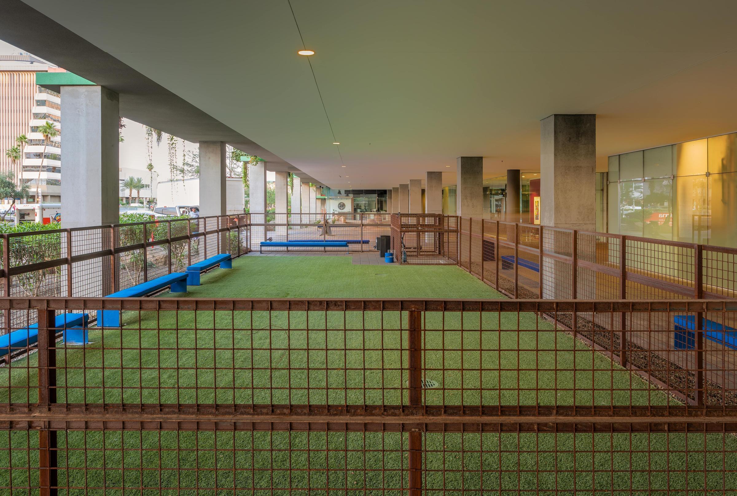 Optima Sonoran Village apartments Covered outdoor dog park area with artificial grass, benches, and fenced sections under a building.