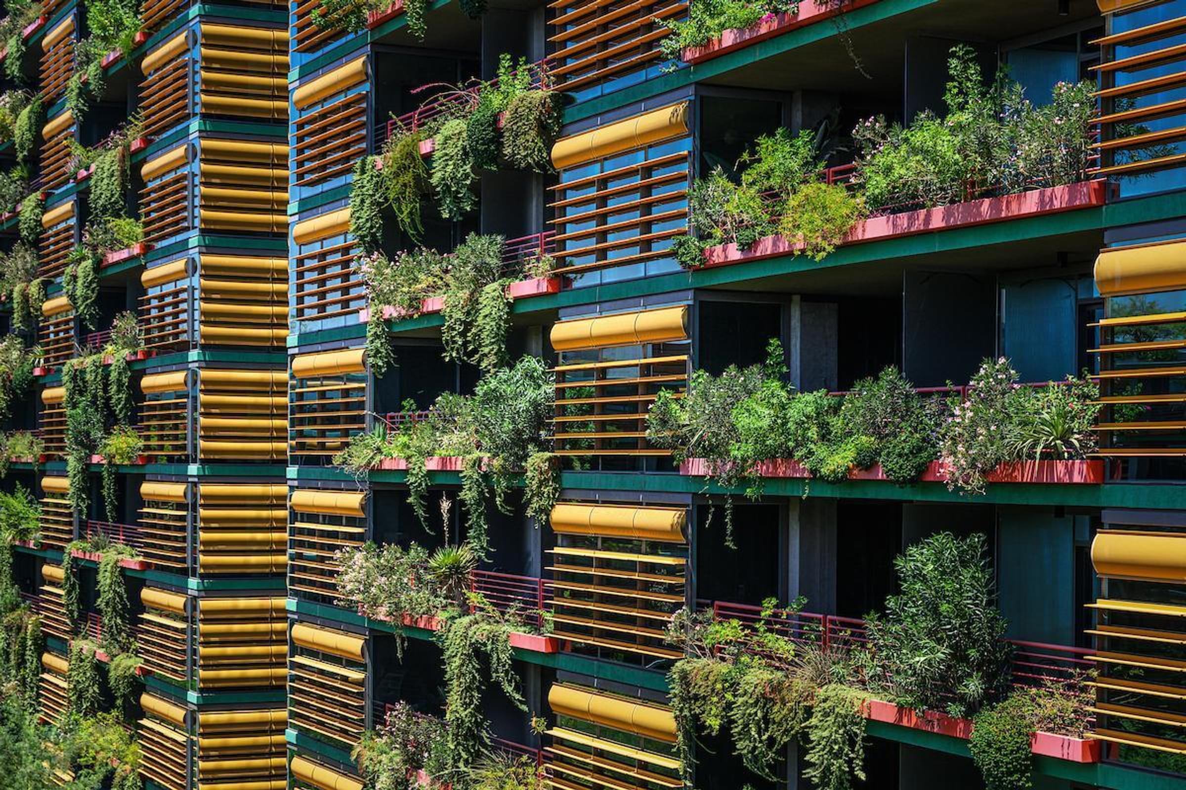 Optima Sonoran Village apartments colorful apartment building facade with many balconies featuring lush green plants and yellow railings.