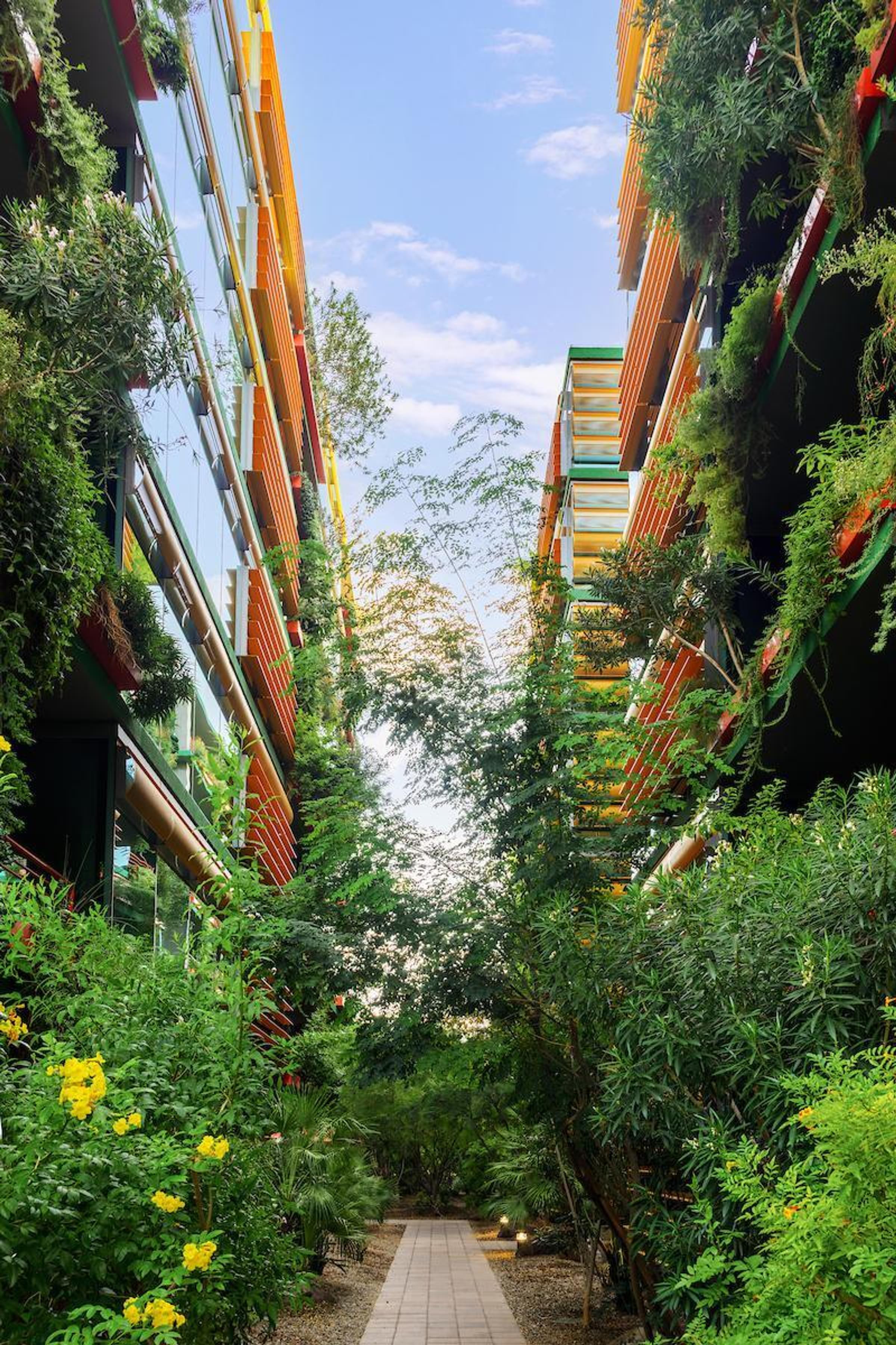 Optima Sonoran Village apartments pathway between two green buildings with lush plants and trees, under a clear blue sky.
