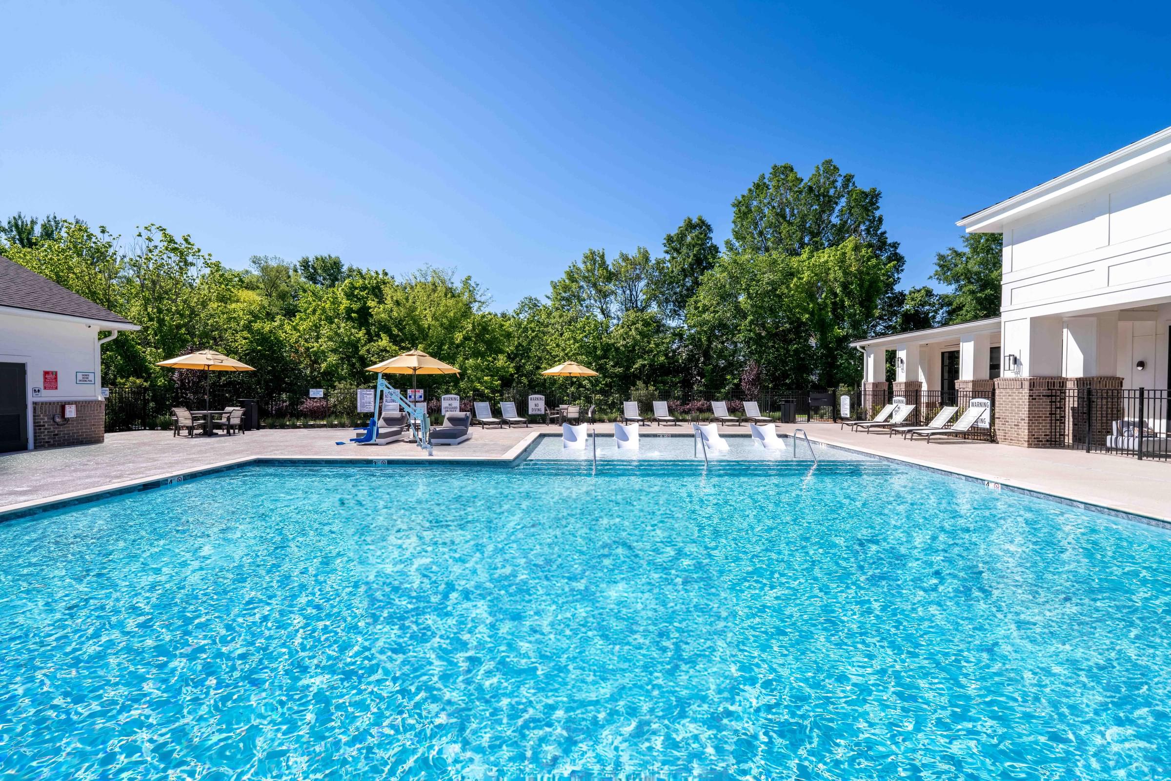 Custom Saltwater Swimming Pool with Sun Shelf and Inset Seating