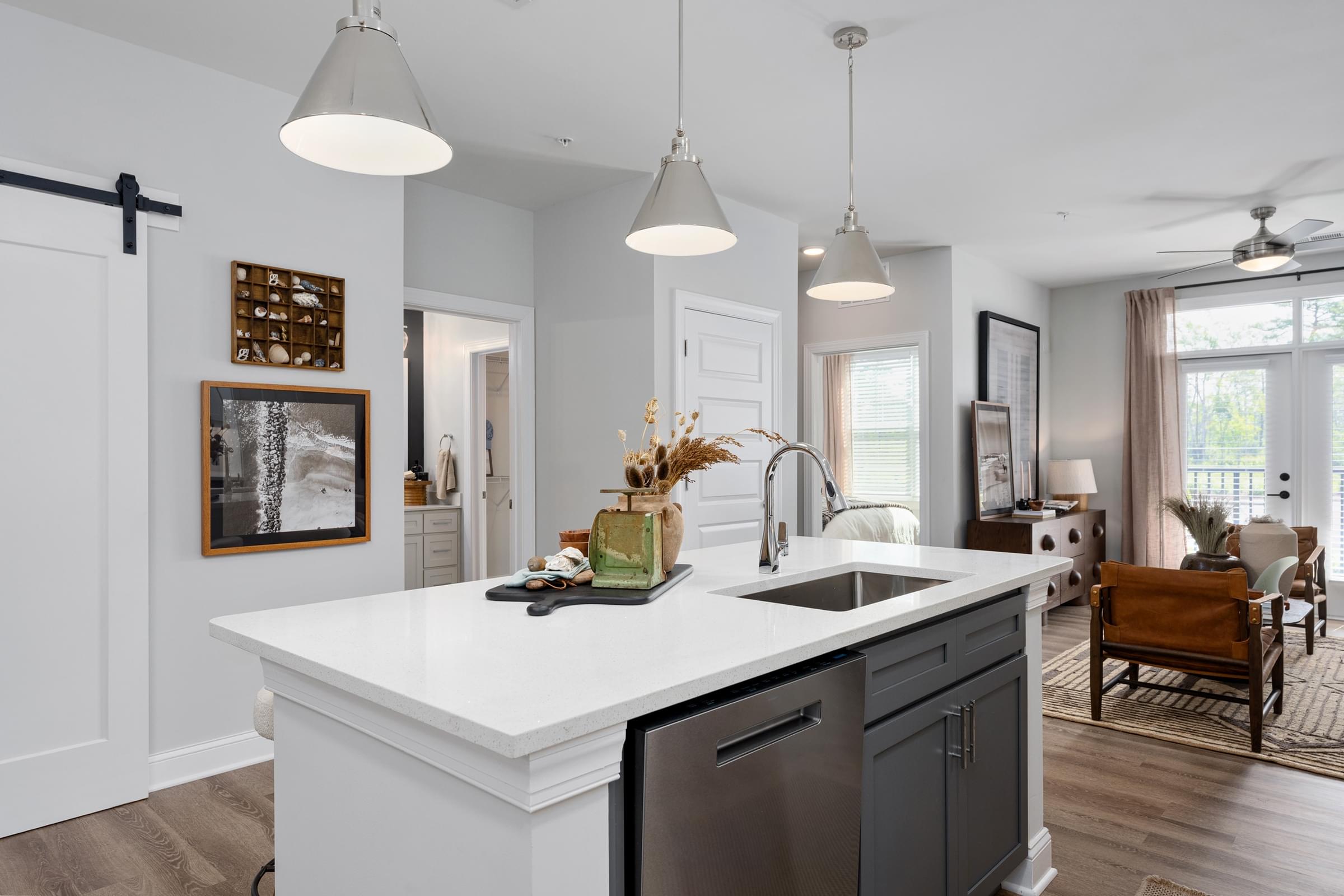Open-Concept Floor Plans with 9-Foot Ceilings and Luxury Plank-Style Flooring