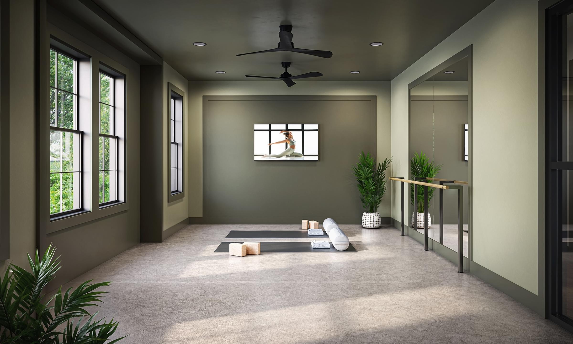 A room with a ceiling fan, a yoga mat, and a potted plant.