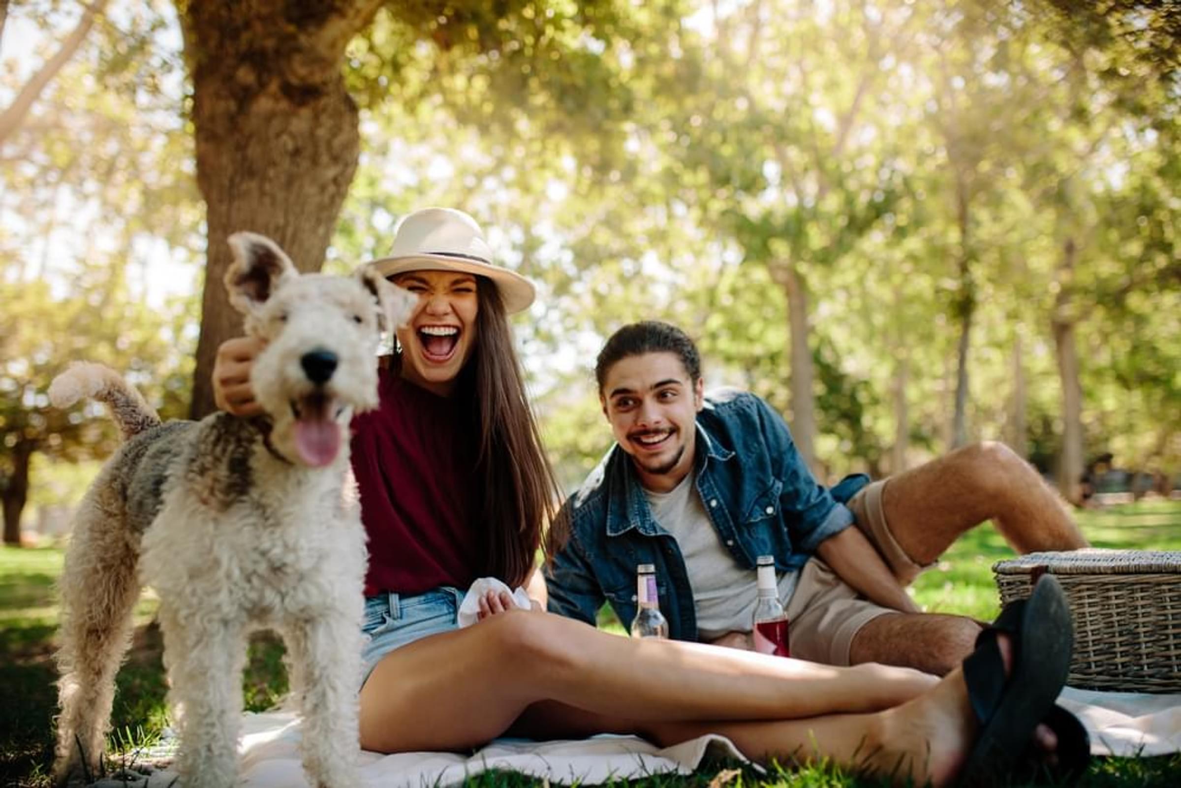 A man and woman are sitting on a blanket with a dog in a park.