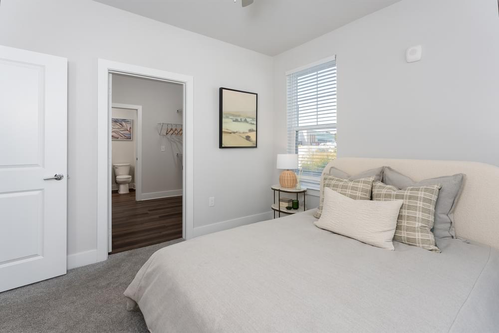 Stunning Sustainable Luxury Rentals In New Bern image