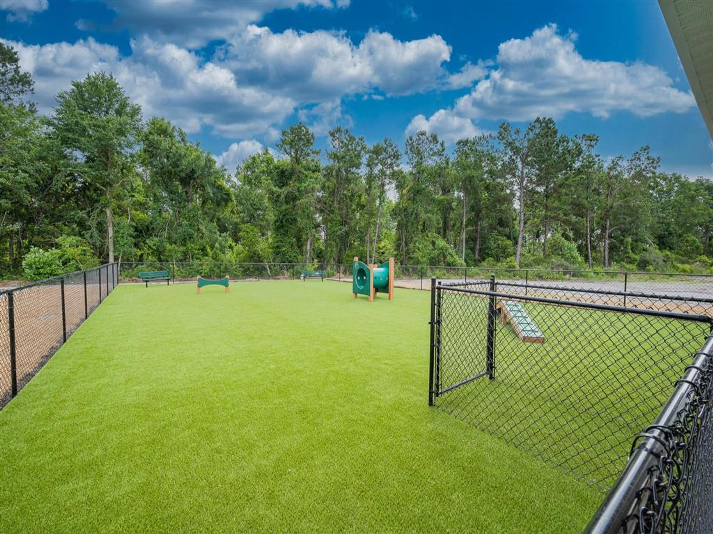 Leash Free Dog Park With Agility Equipment
