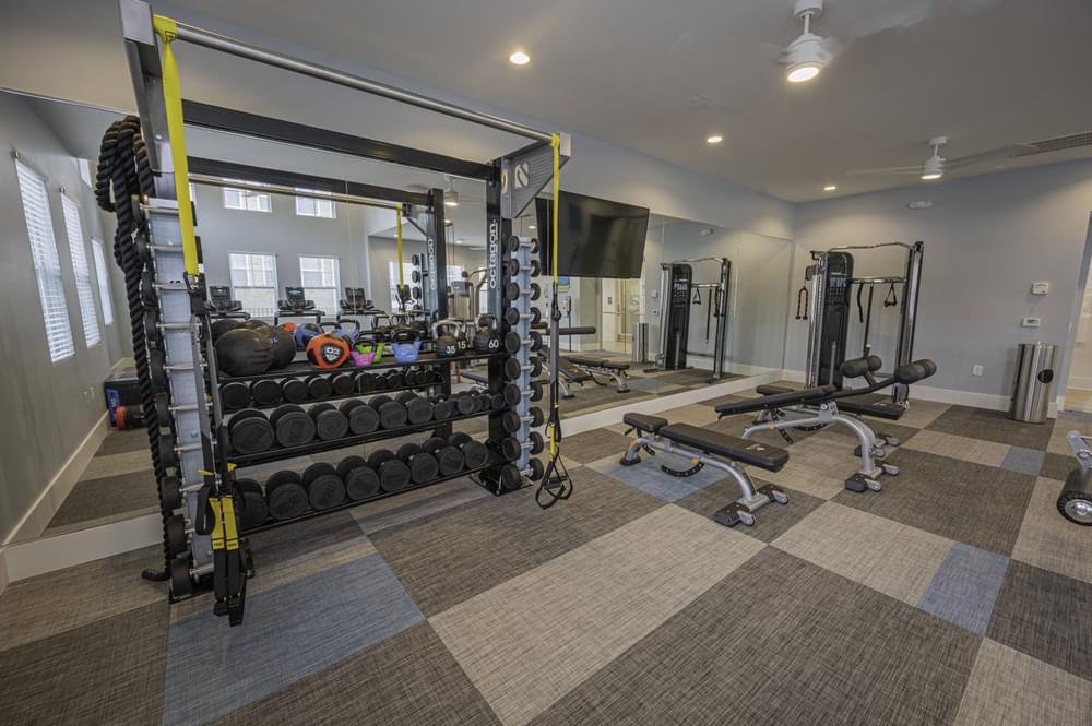 a gym with weights and dumbbells and a large mirror in a home gym