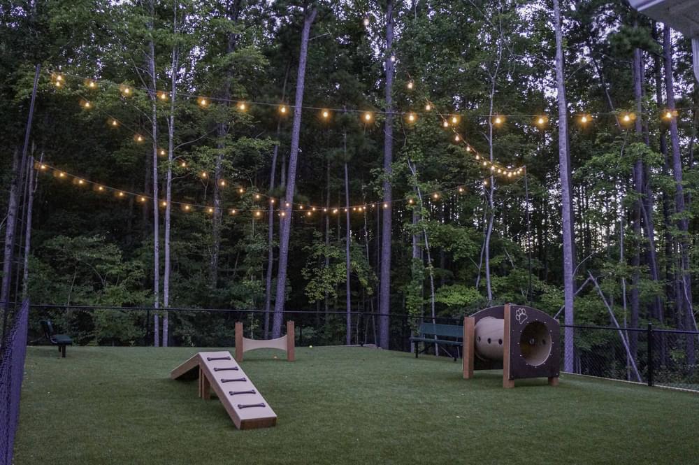 pet park with agility equipment and string lights