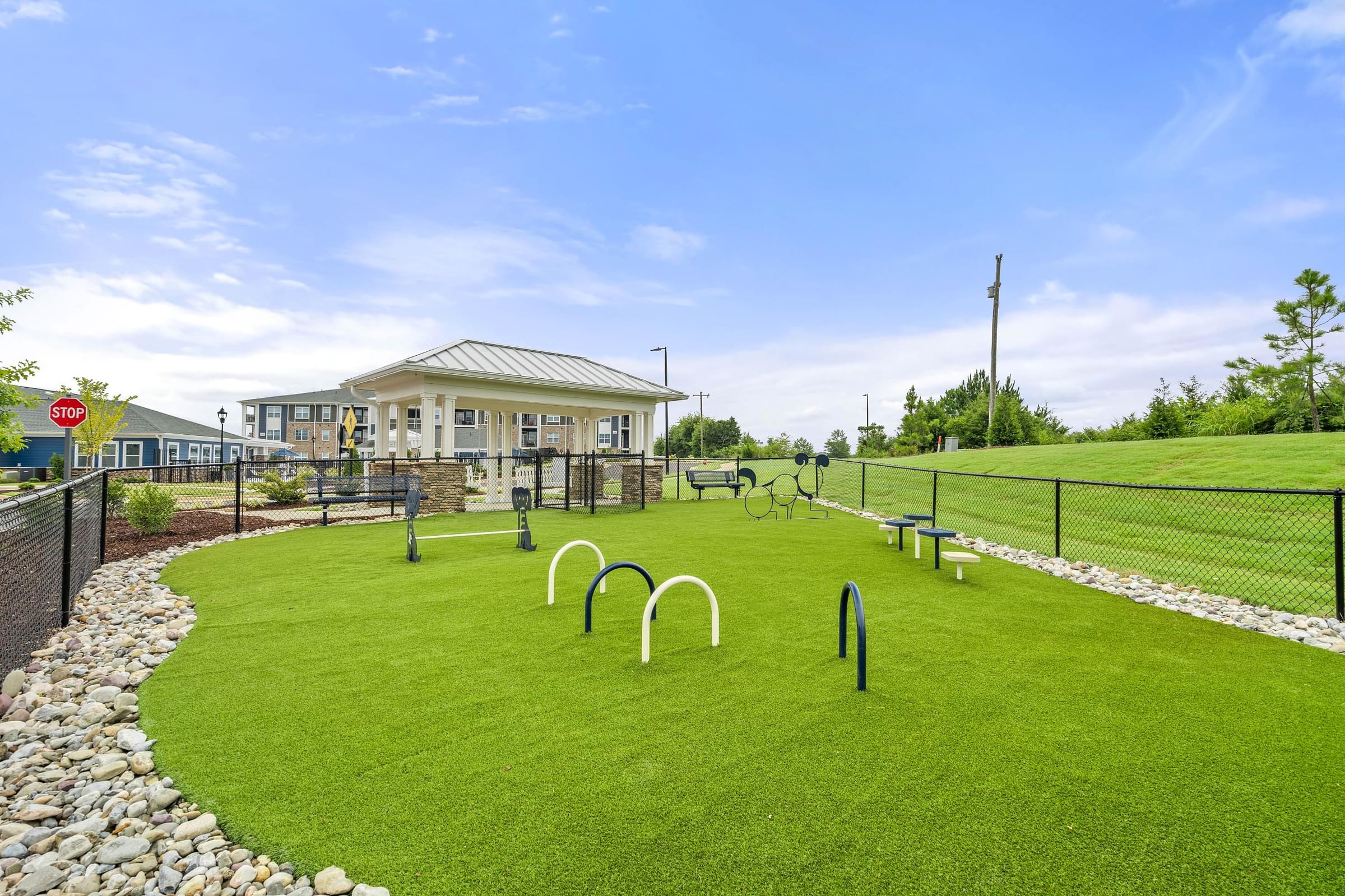 Pet Park with Dog Agility Equipment and Turf Grass