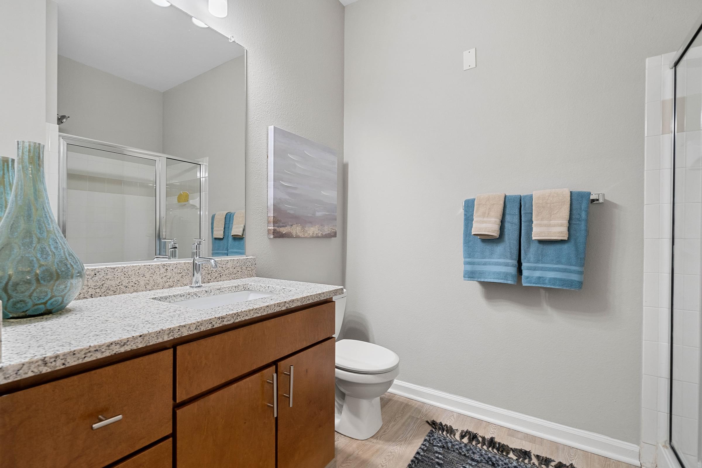 a bathroom with a mirror and a sink and a toilet