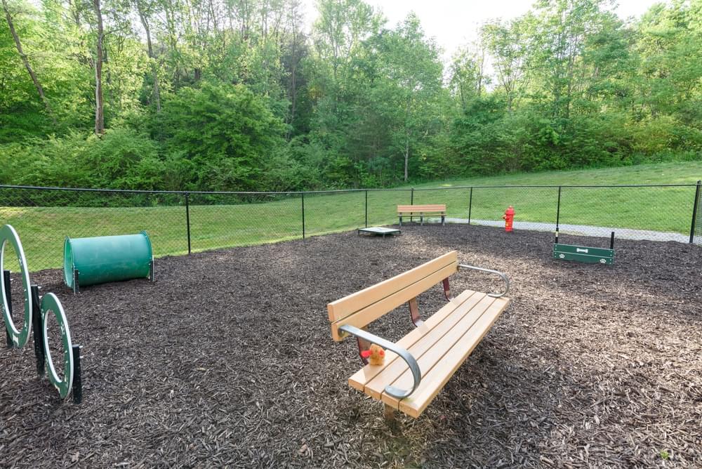 a park with a playground and a bench