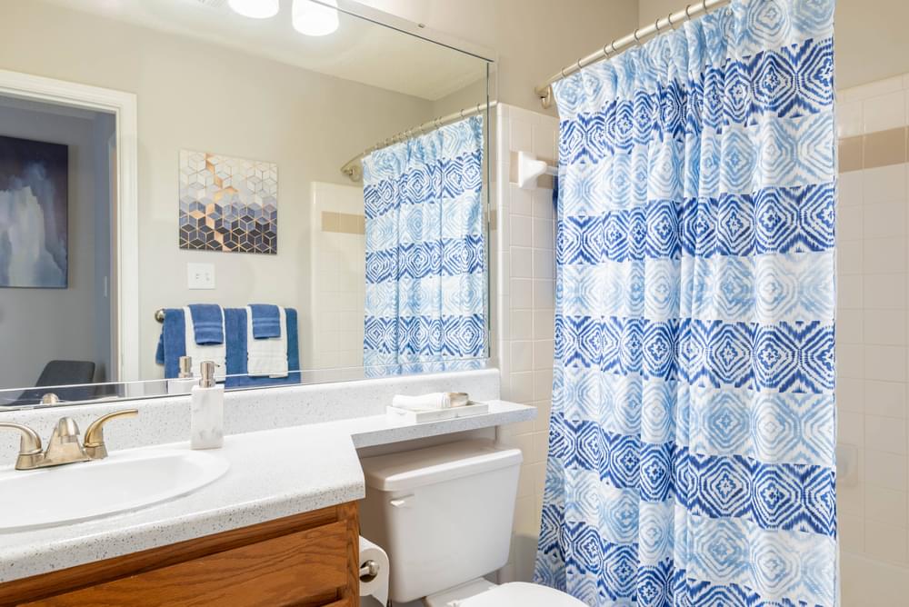 a bathroom with a white toilet and a blue and white shower curtain