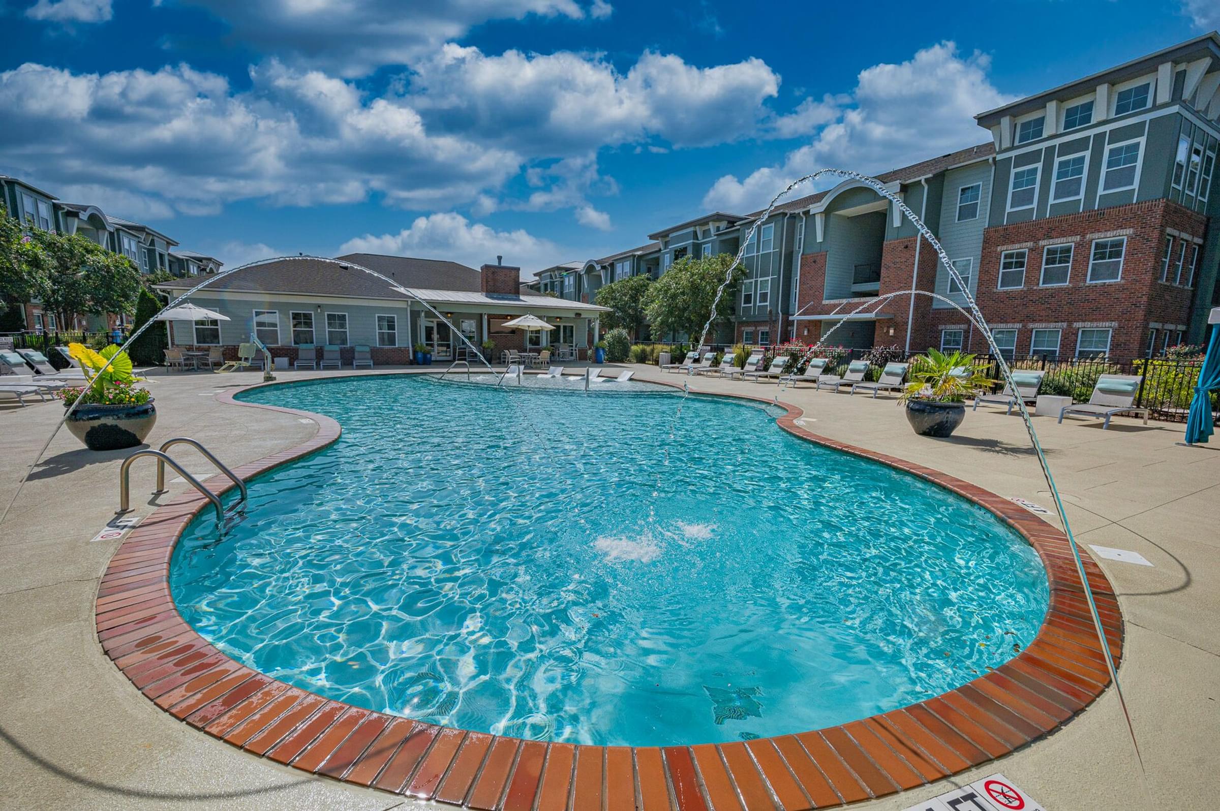 Custom Saltwater Swimming Pool with Sun Shelf and Jets