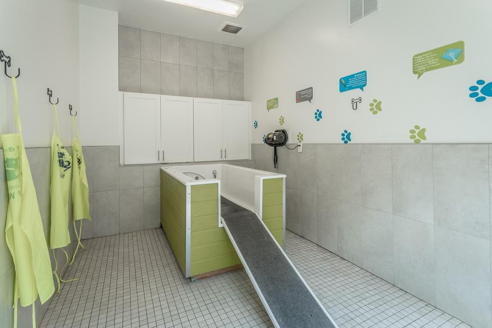 a laundry room with white walls and green cabinets and a sink