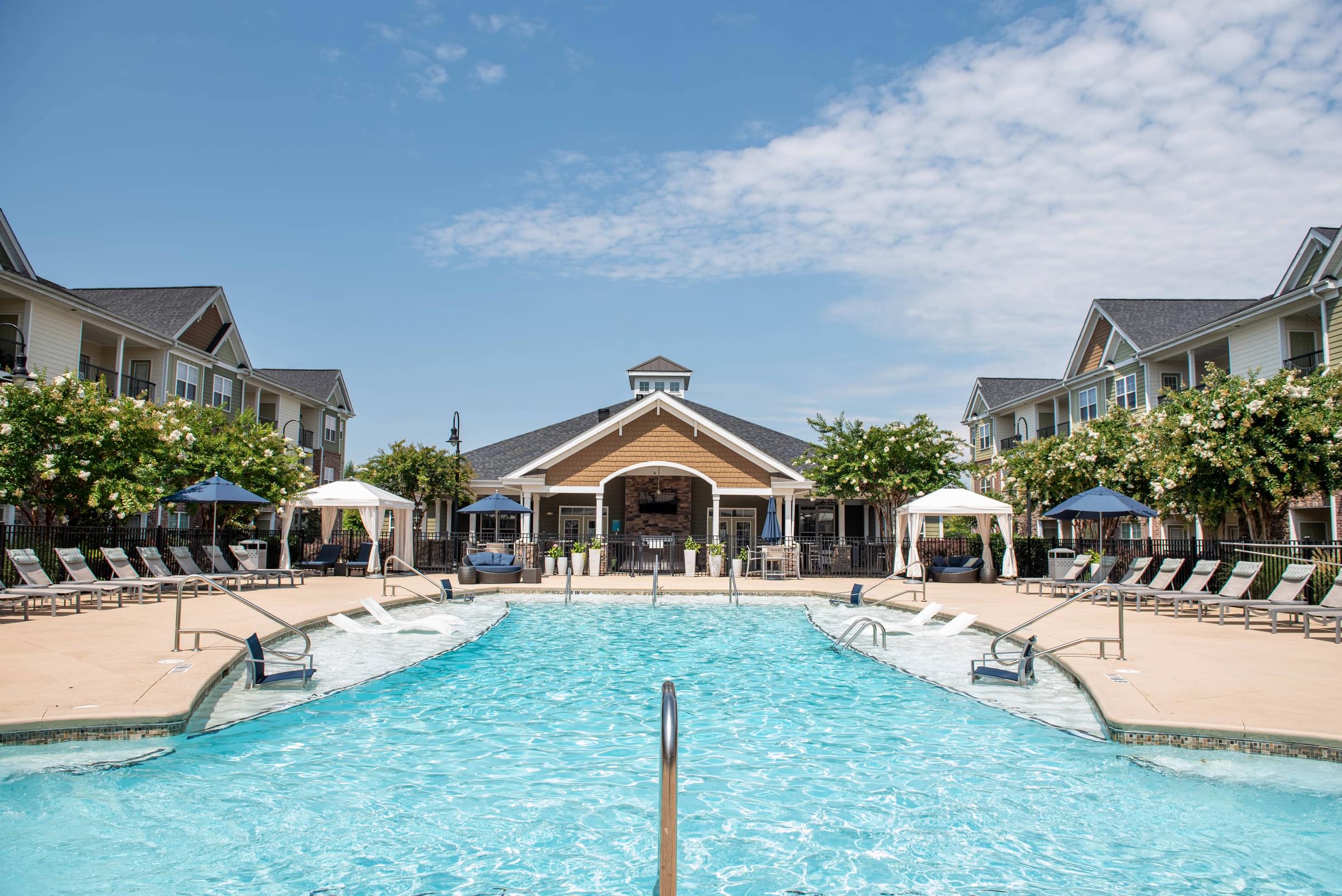 Custom Saltwater Swimming Pool with Sun Shelf and Jets