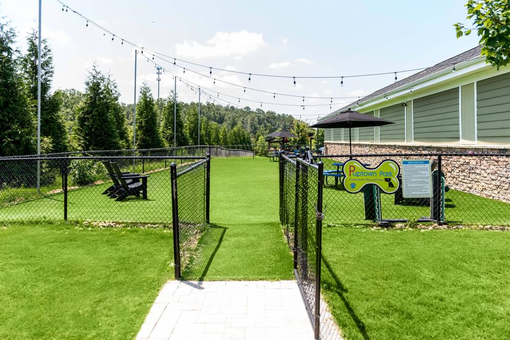 a backyard with a dog park and agility course