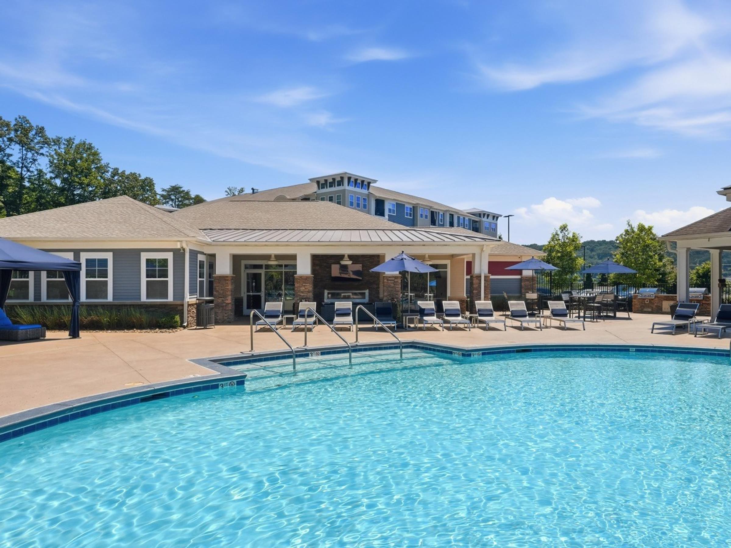 Custom Saltwater Swimming Pool with Sun Shelf and Jets