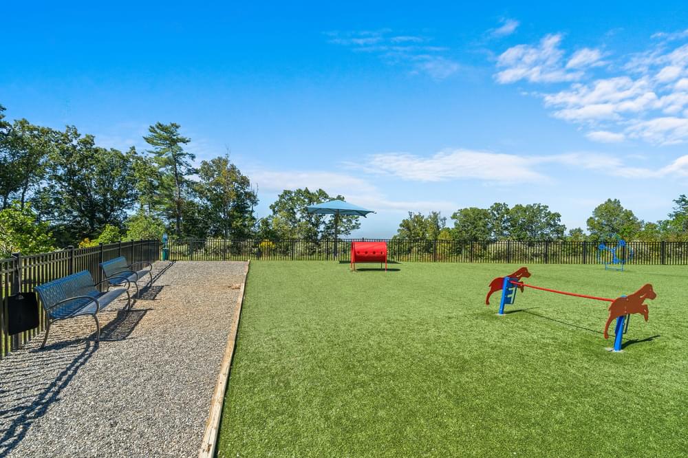pet park with agility equipment